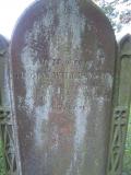 image of grave number 349510